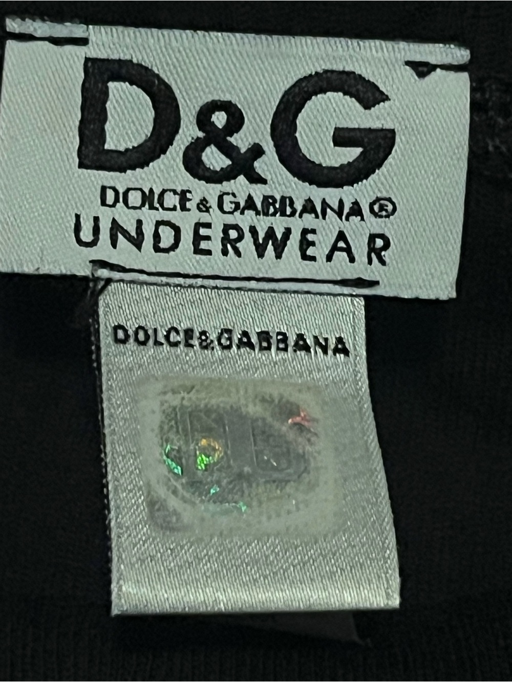 Dolce & Gabbana underwear/ short